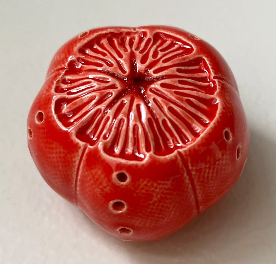 16-23-small-red-sea-urchin-pod-guardino-gallery