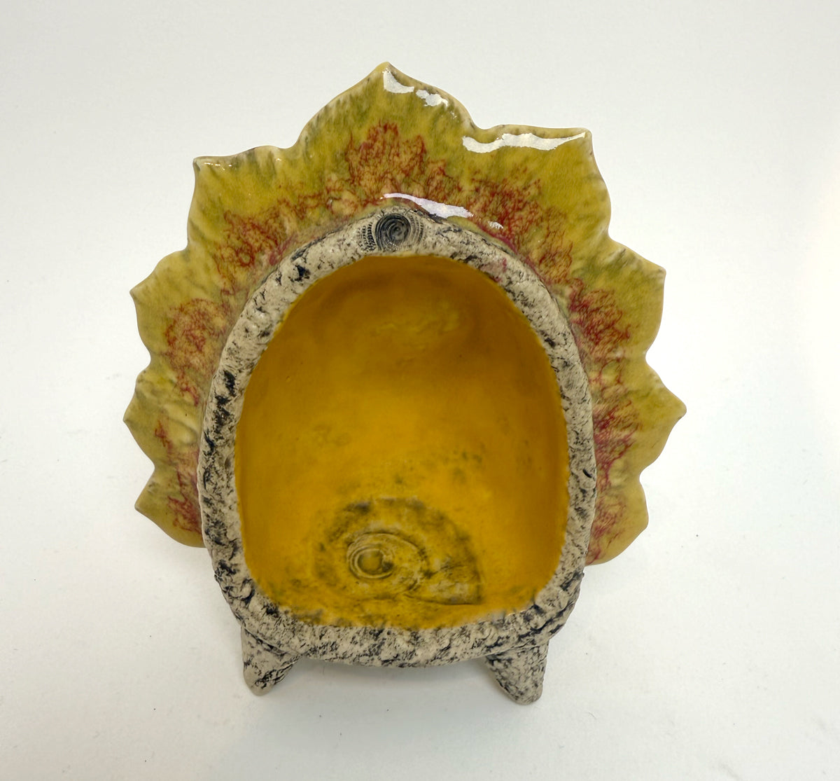 158. Altar- Yellow Seashell