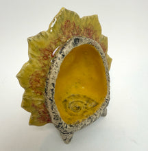 Load image into Gallery viewer, 158. Altar- Yellow Seashell
