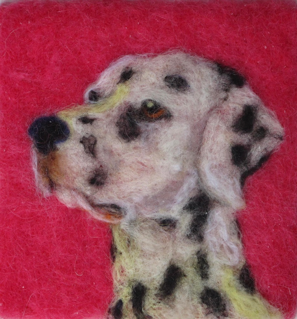 187. Dalmation