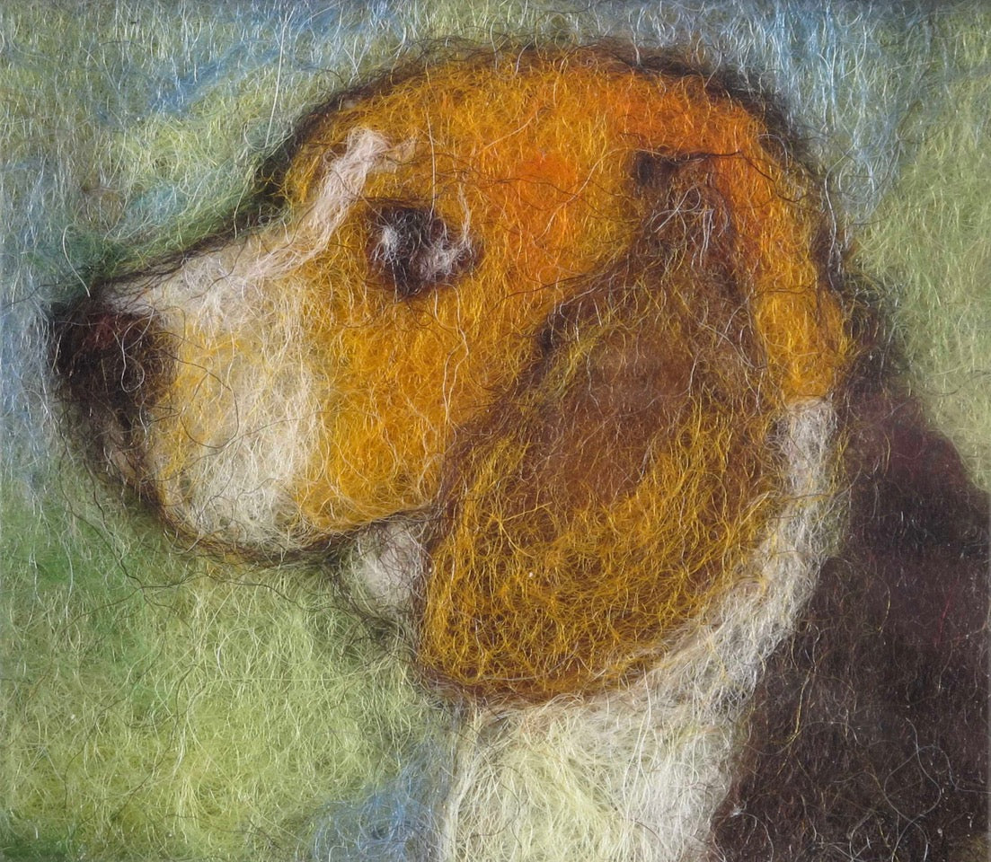 189. Beagle