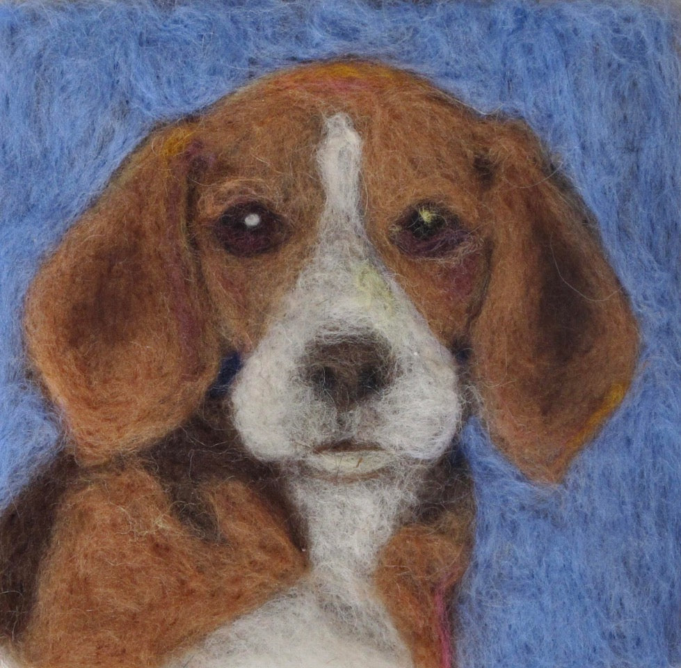 190. Beagle