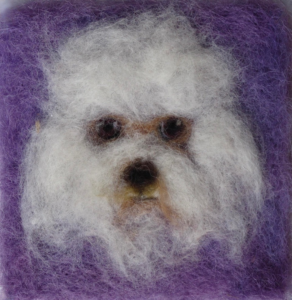 191. Bichon