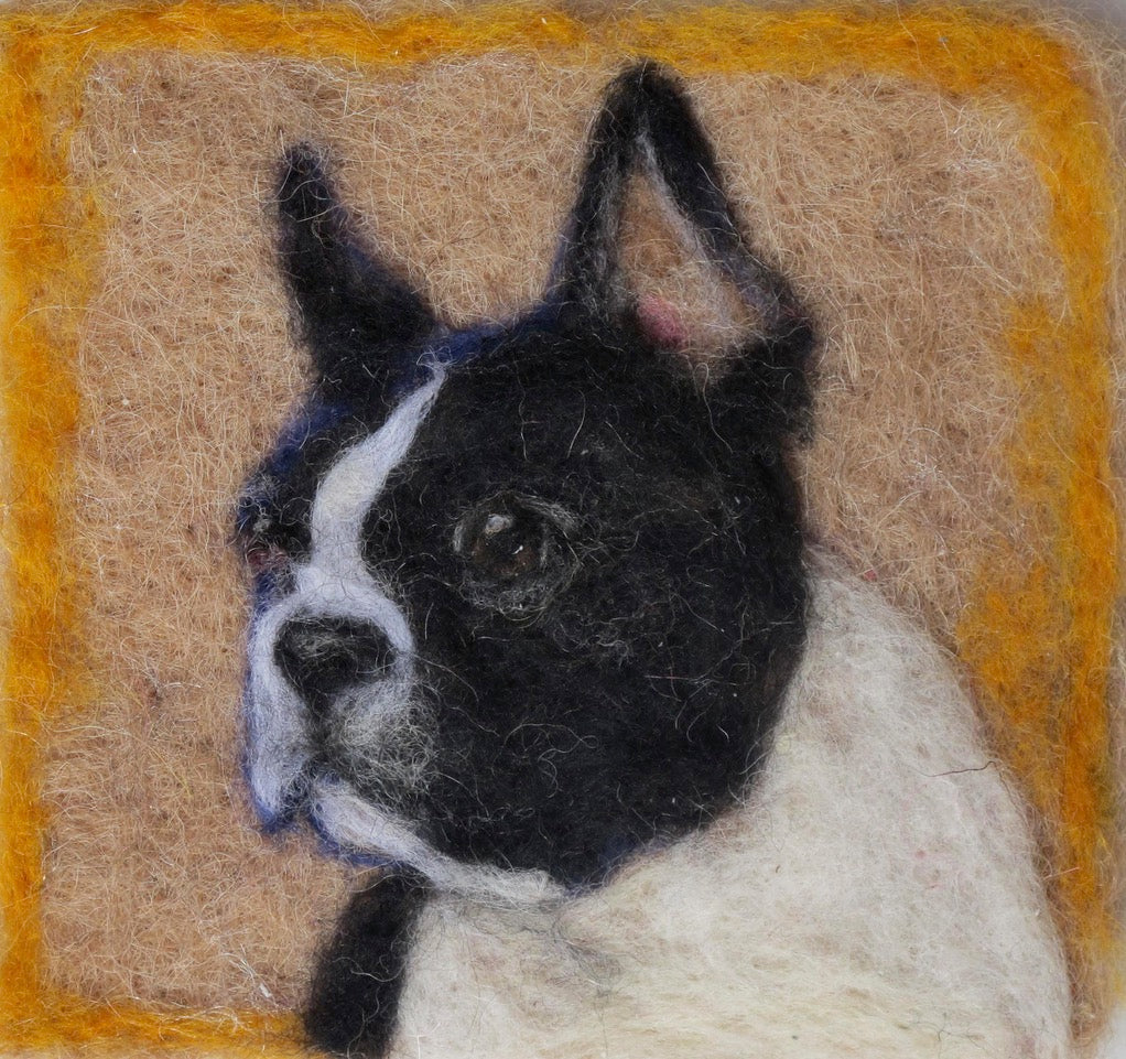 193. Boston Terrier