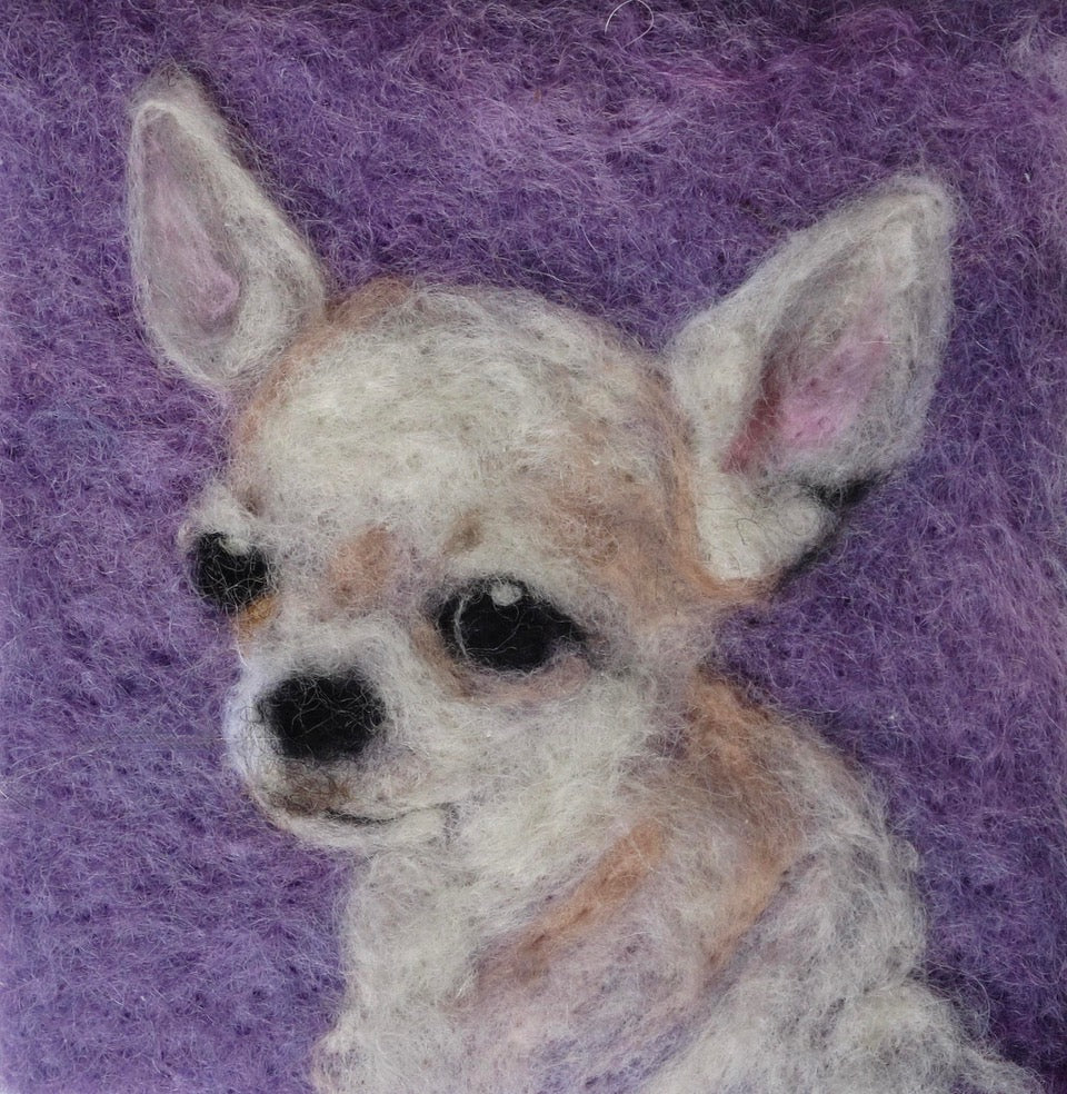 196. Chihuahua