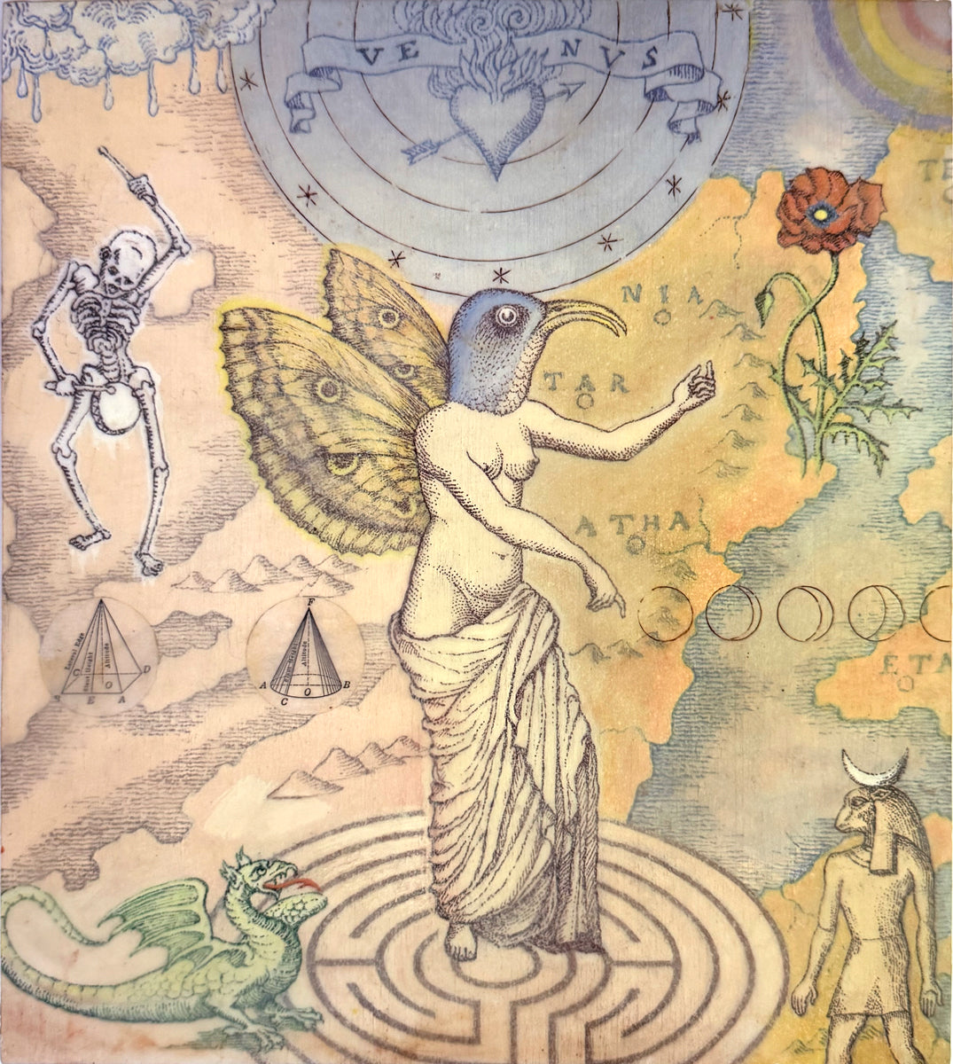 19. Venus Restored