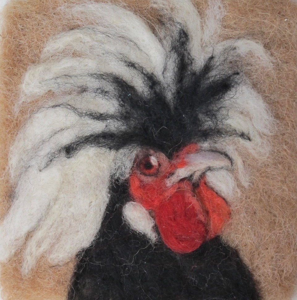 200. Crested Rooster