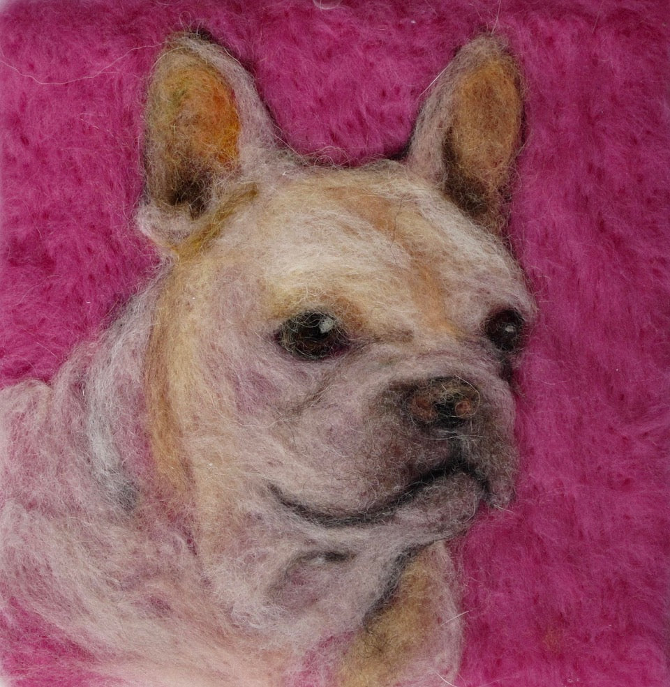 202. Frenchie