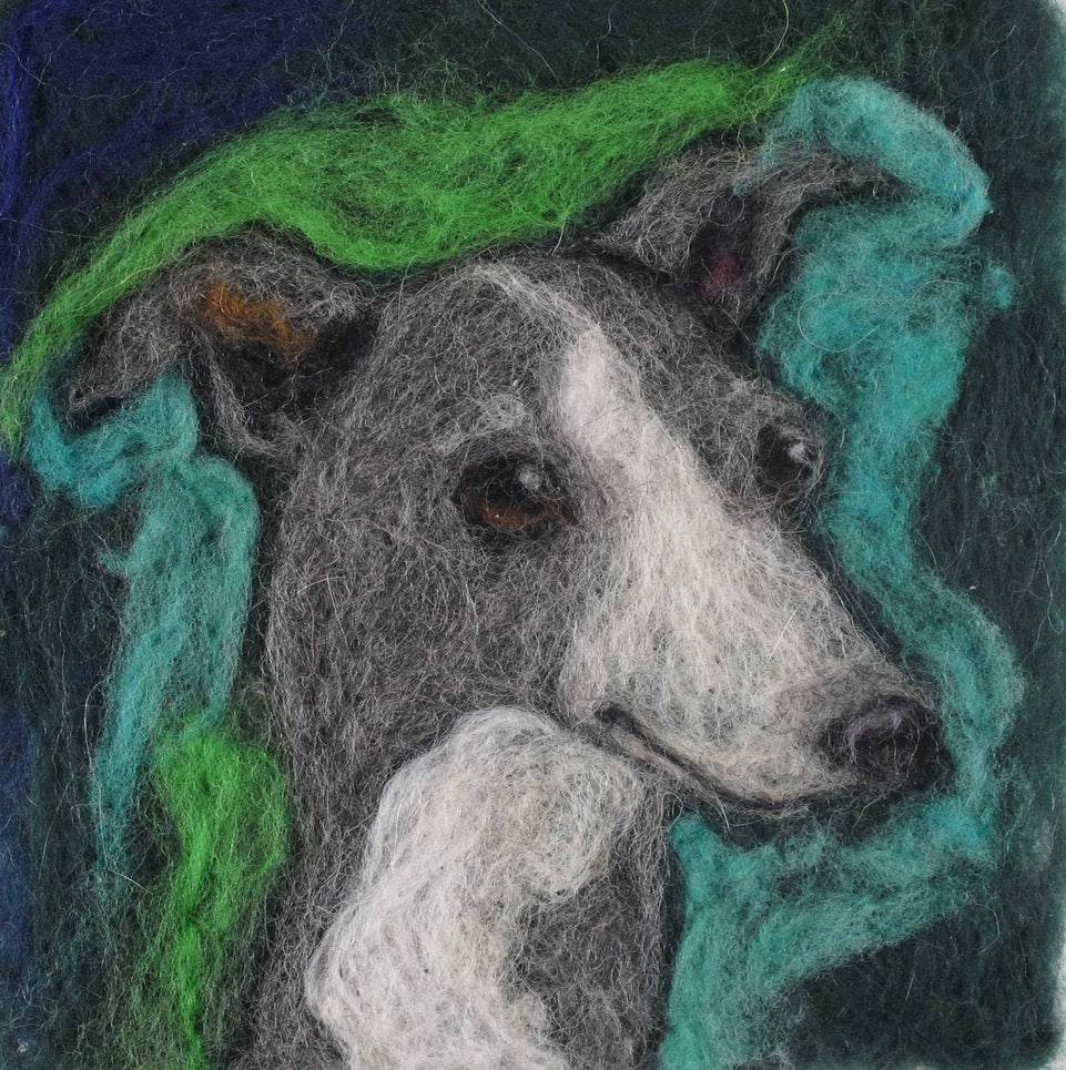 206. Italian Greyhound