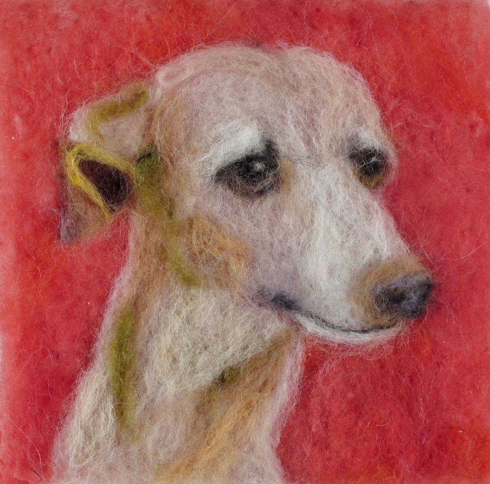 207. Italian Greyhound