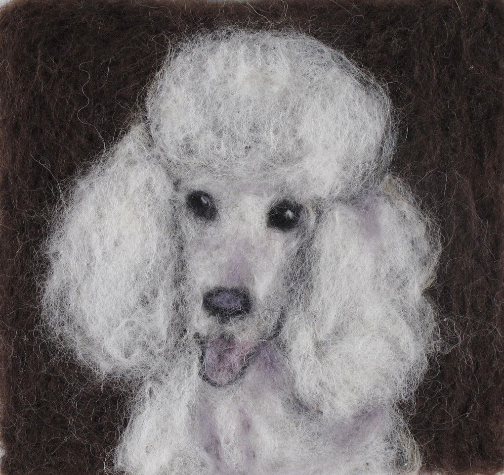 210. Mini Poodle