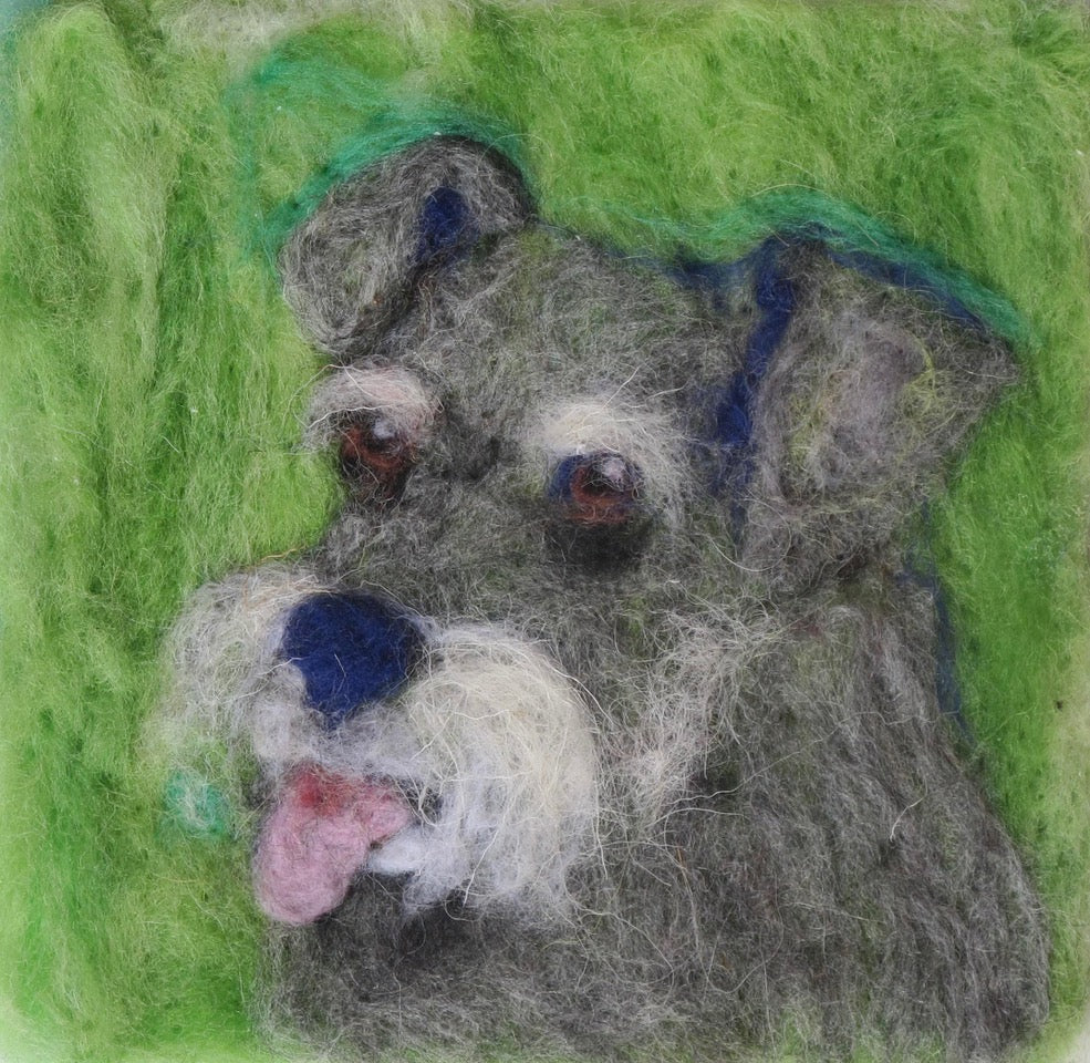 215. Schnauzer