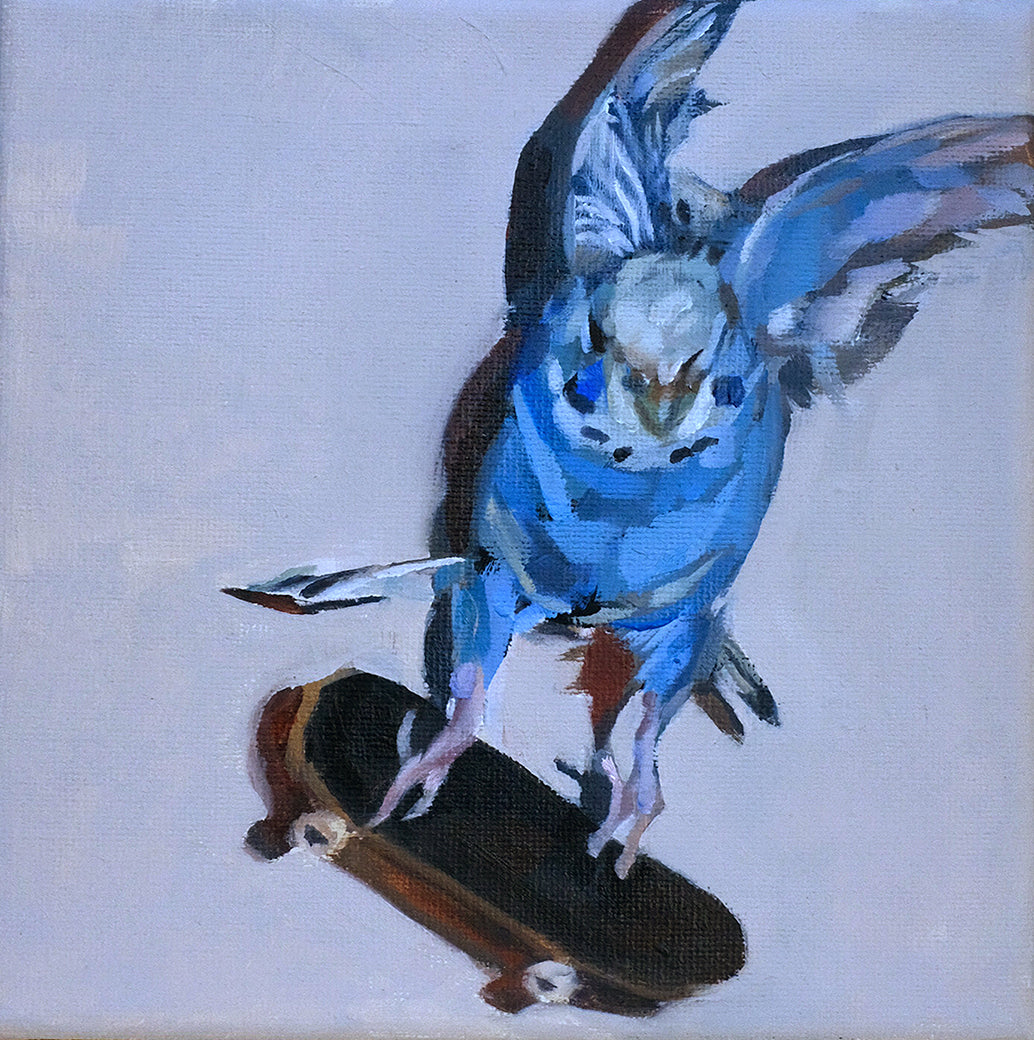 21. Bird Boarder