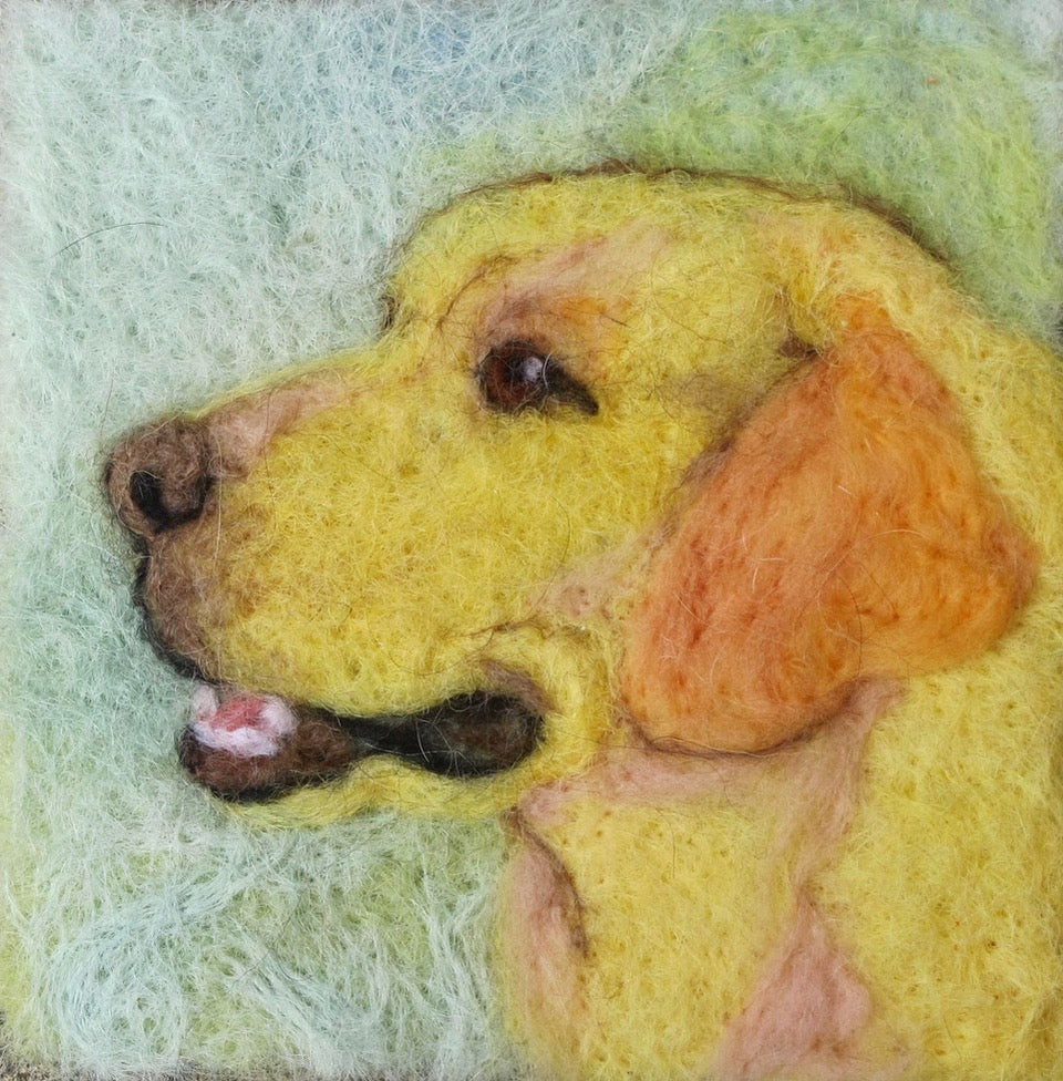 220. Yellow Lab