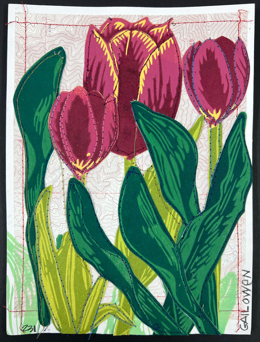 231. Tulip