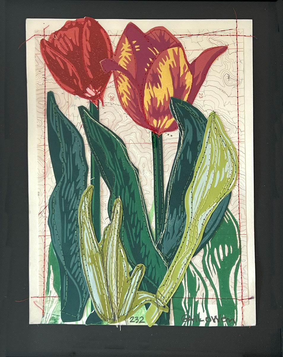 232. Tulip