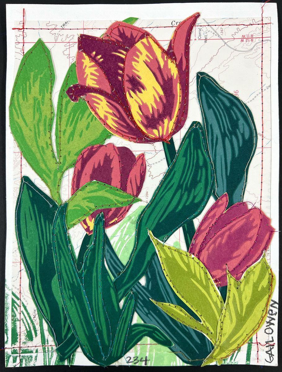 234. Tulip