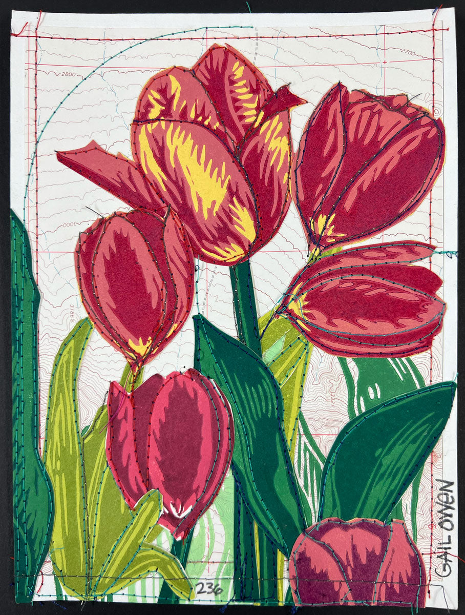 236. Tulip