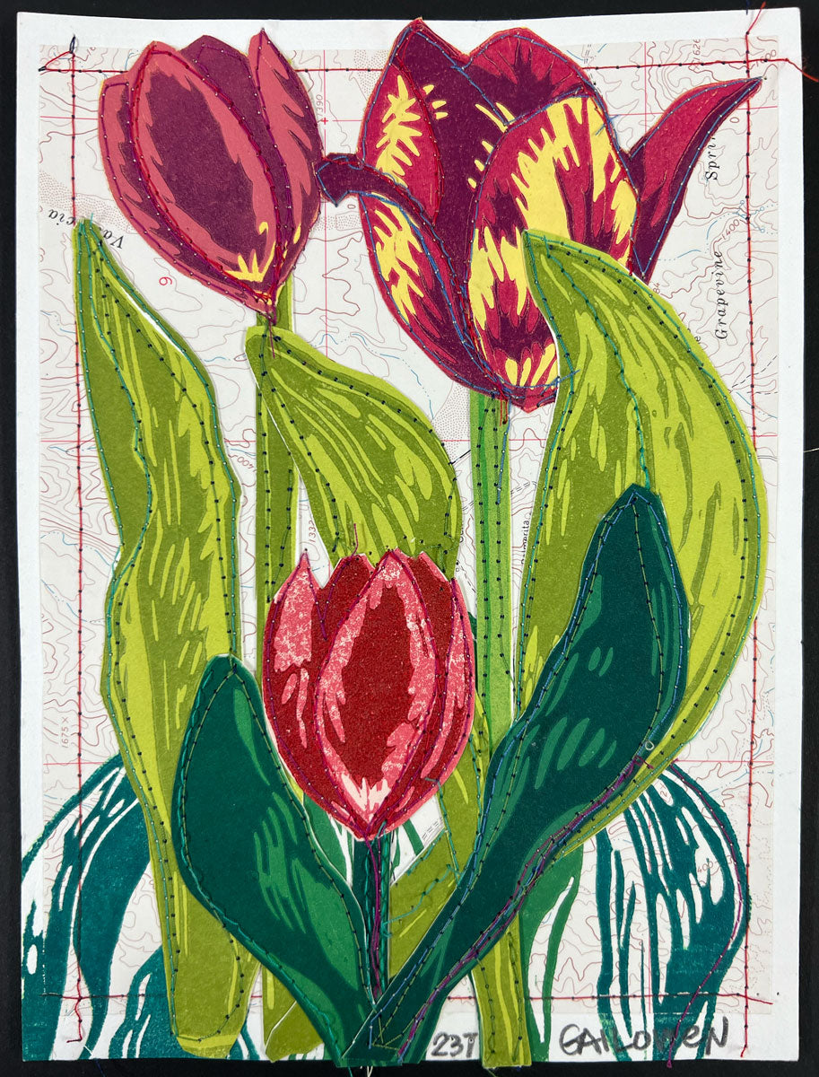 237. Tulip