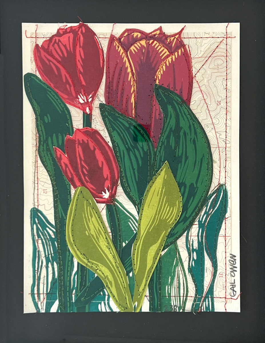 238. Tulip
