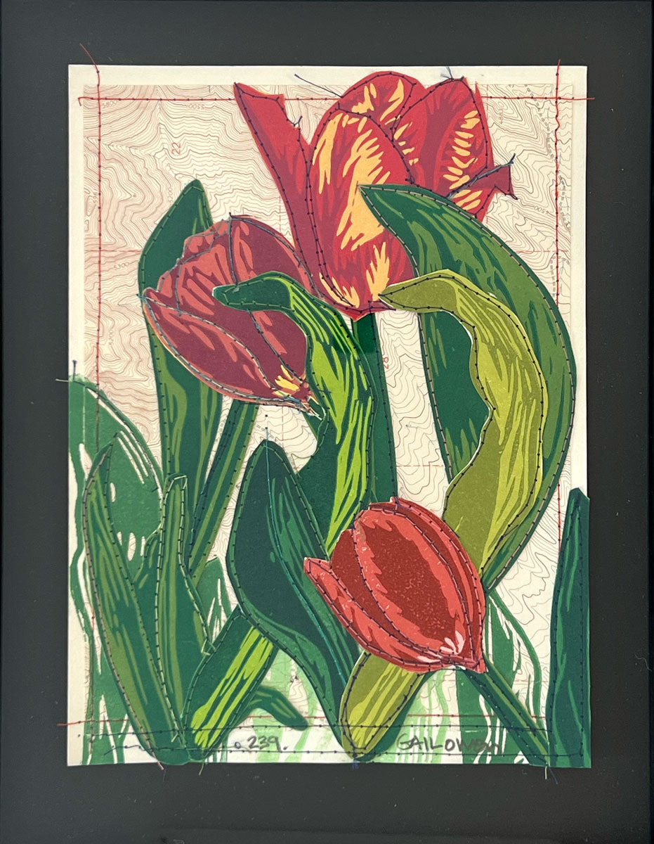 239. Tulip