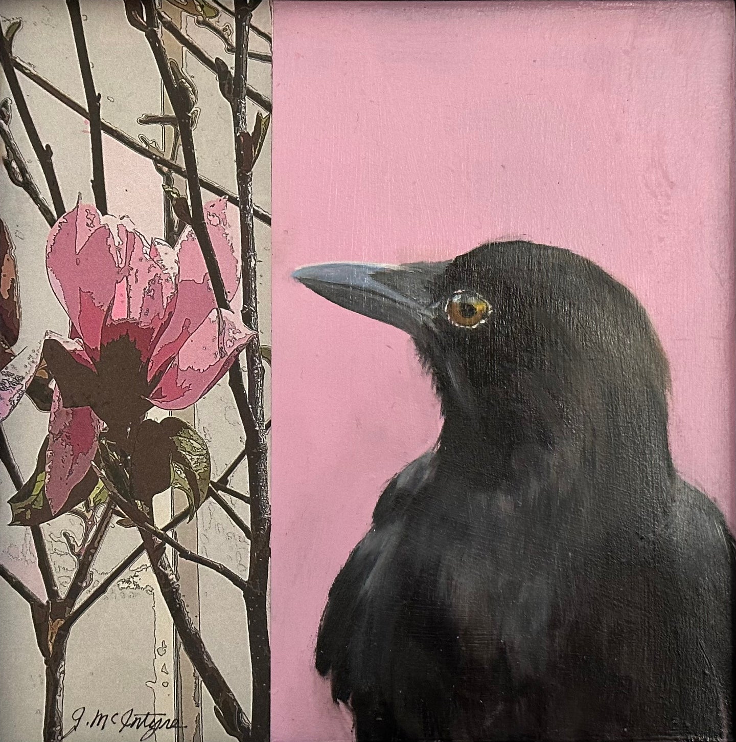 24. Magnolia