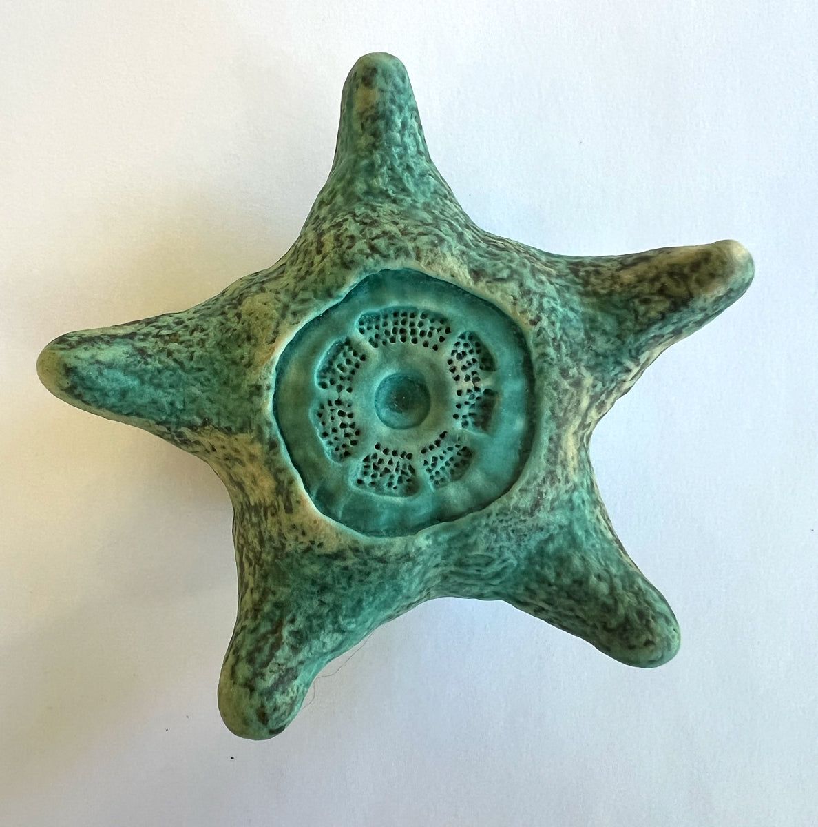25-04 Turquoise Sea Star