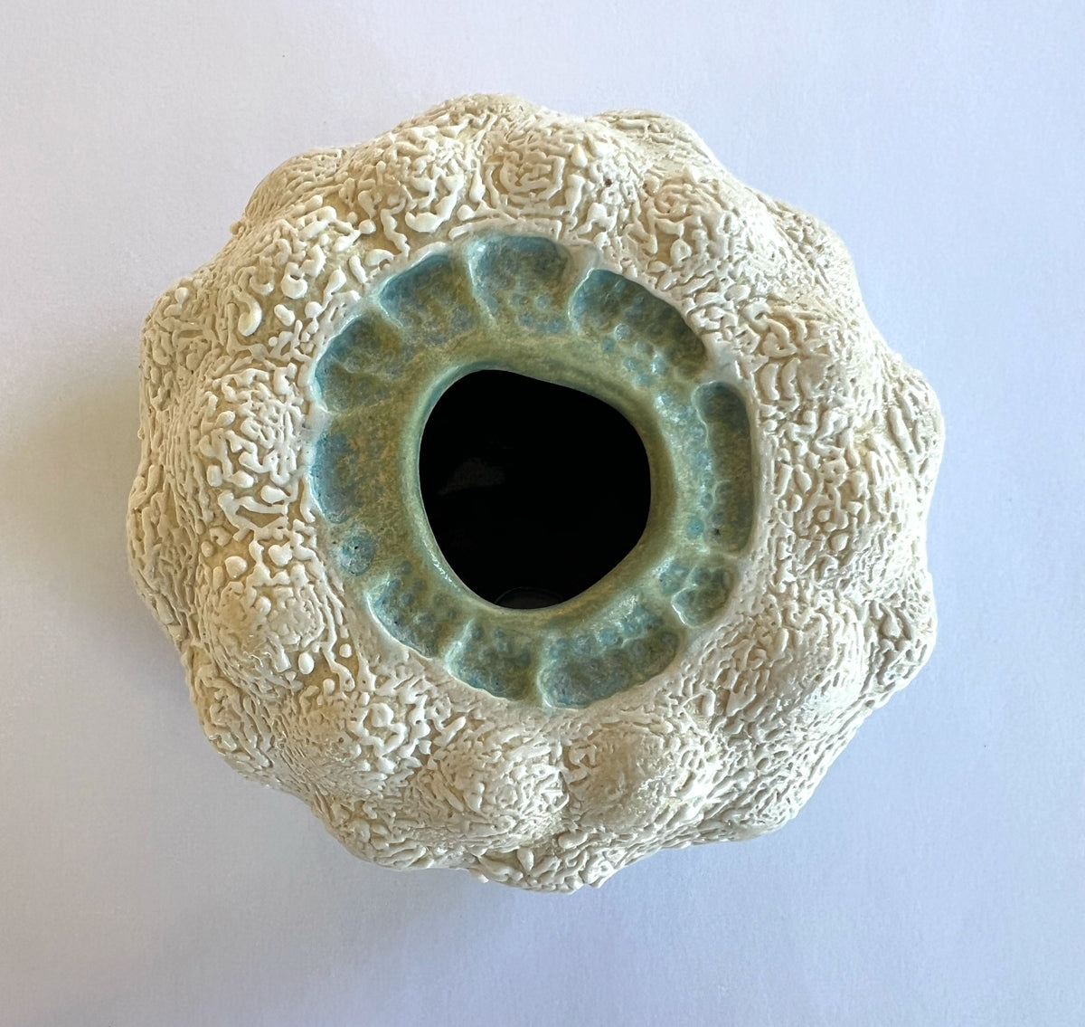 25-05 White & Seafoam Sea Portal Pod
