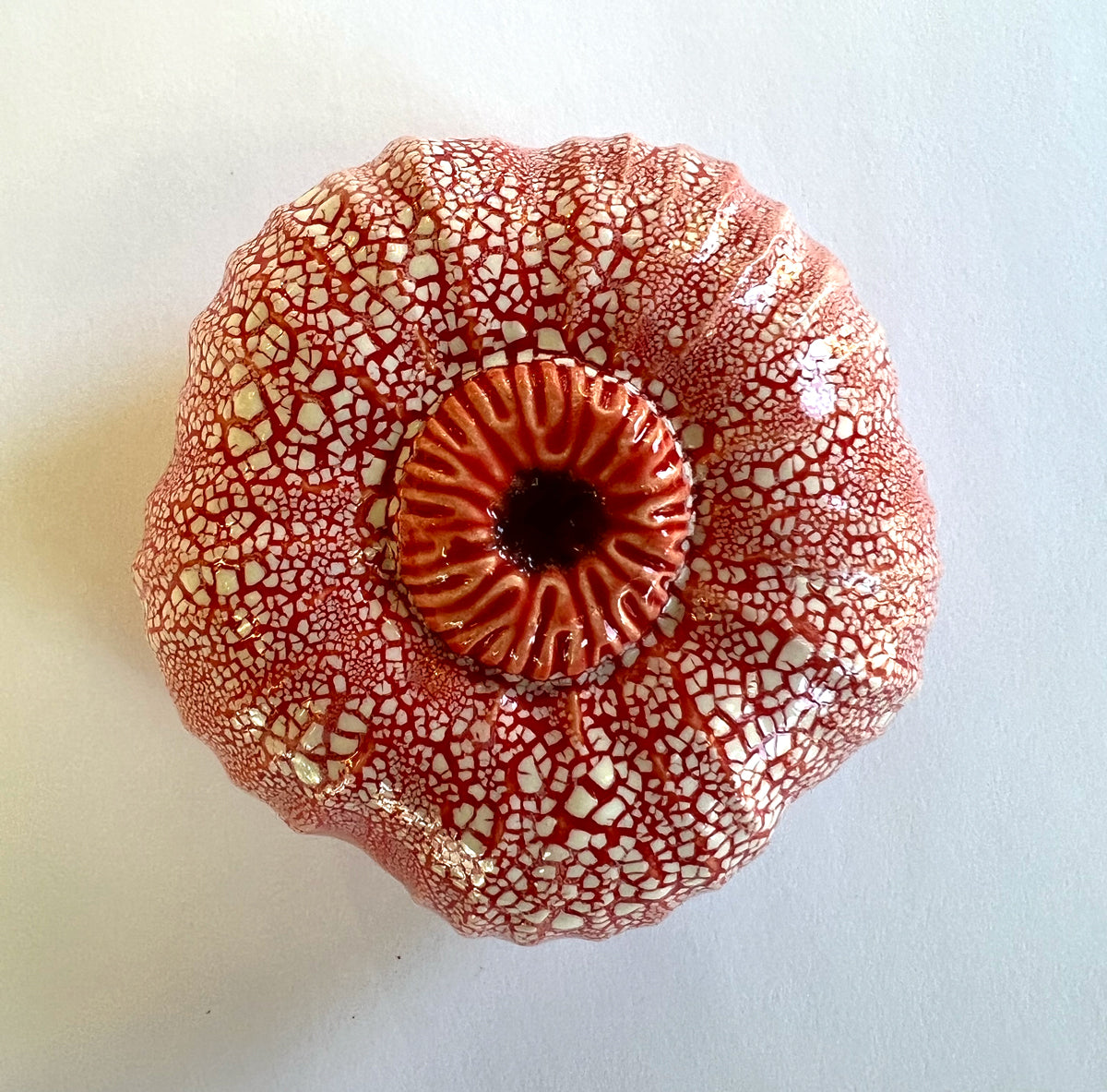 25-10 Emit Joy Red Pod