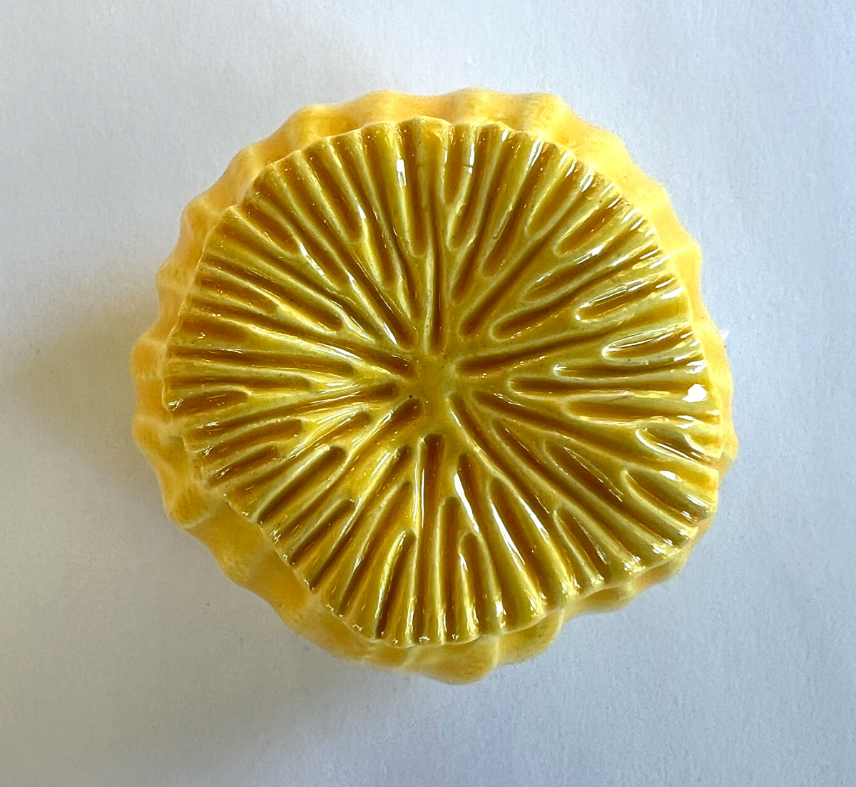 25-16 Tiny Yellow Sea Poppy Pod