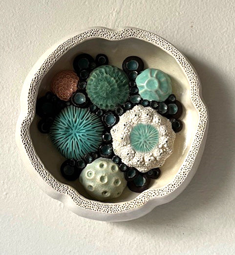 25-49  Carnivorous Rainbow Tide Pool