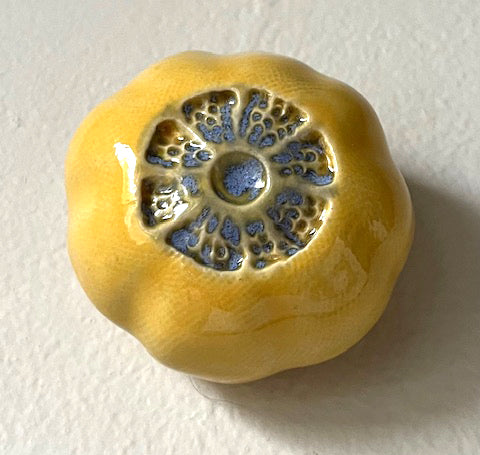 25-60  Yellow Sea Succulent Wall Pod