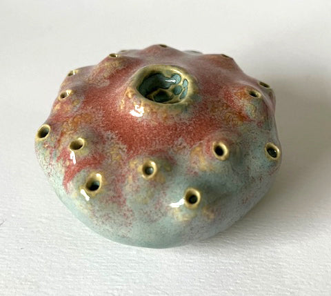 25-61  Pink and Green Sea Spore Sac Wall Pod