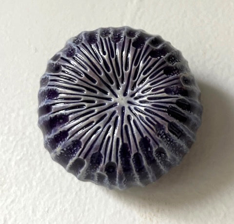 25-65  Purple Sea Flower Wall Pod