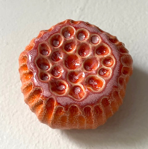 25-66  Sea Flower Lotus Wall Pod