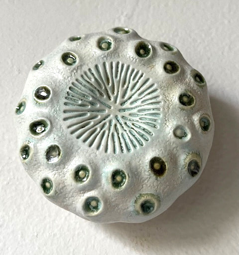 25-67  Radiant Eyes Green Sea Wall Pod