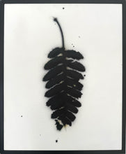 Load image into Gallery viewer, 2. Fern
