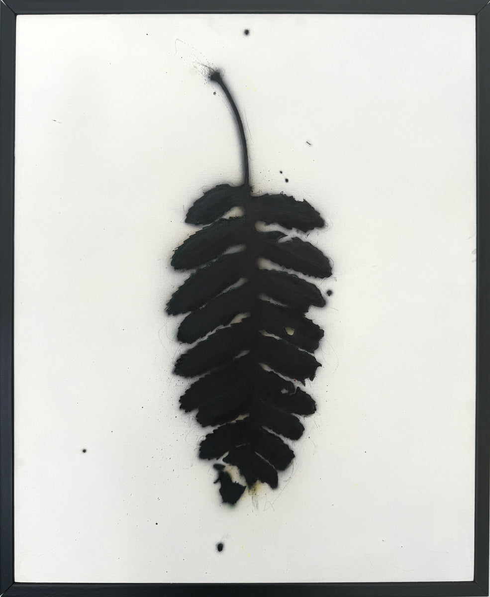 2. Fern