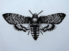 Load image into Gallery viewer, 2. Death Head Hawk Moth
