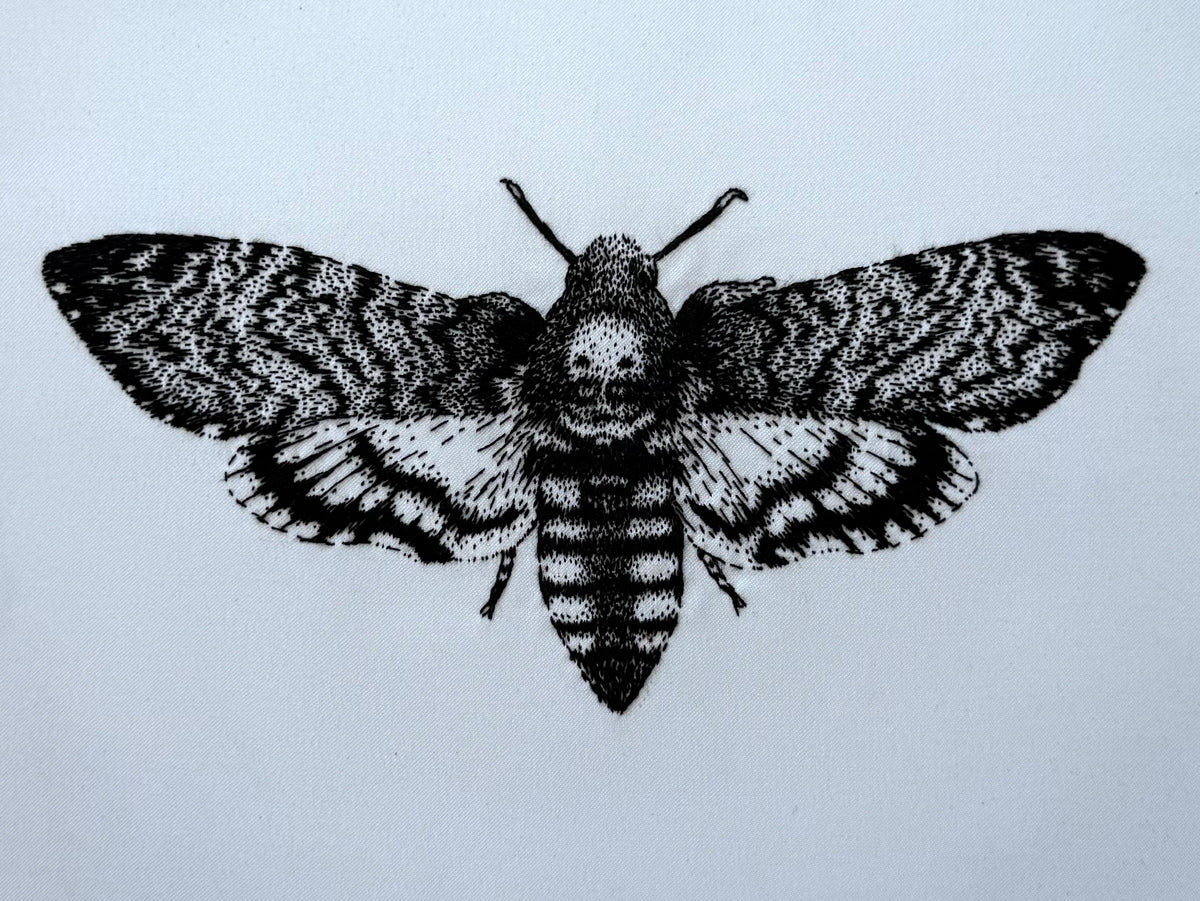 2. Death Head Hawk Moth