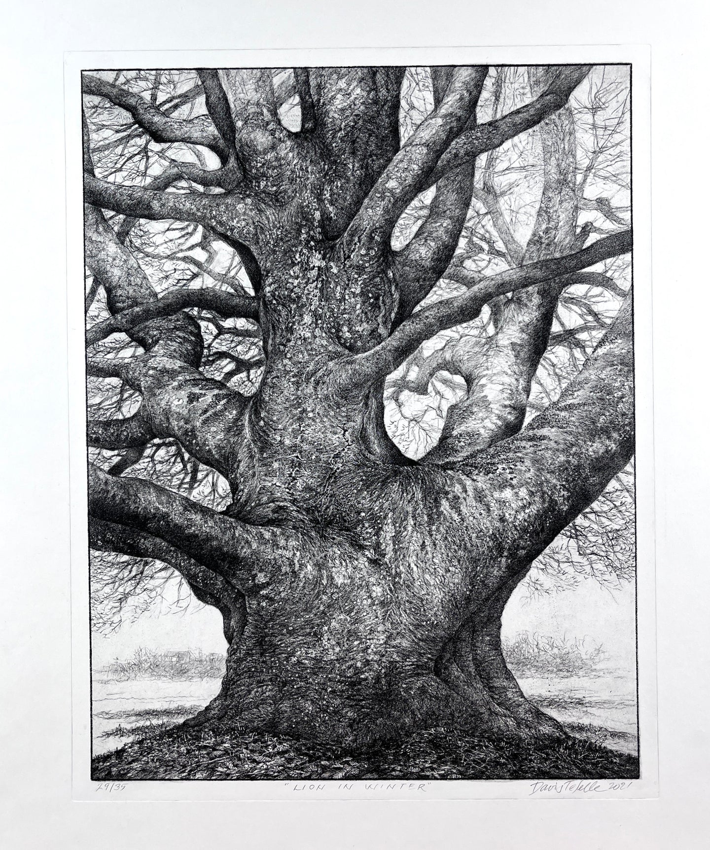 2. Lion in Winter (Framed)