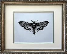 Load image into Gallery viewer, 2. Death Head Hawk Moth
