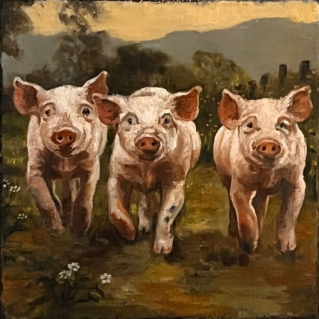 37. Three Little Pigs