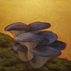 3. Fungi