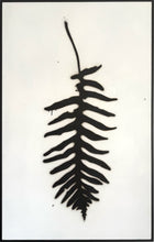 Load image into Gallery viewer, 4. Fern with Spores
