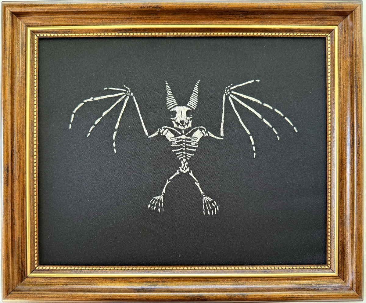 4. Bat Xray