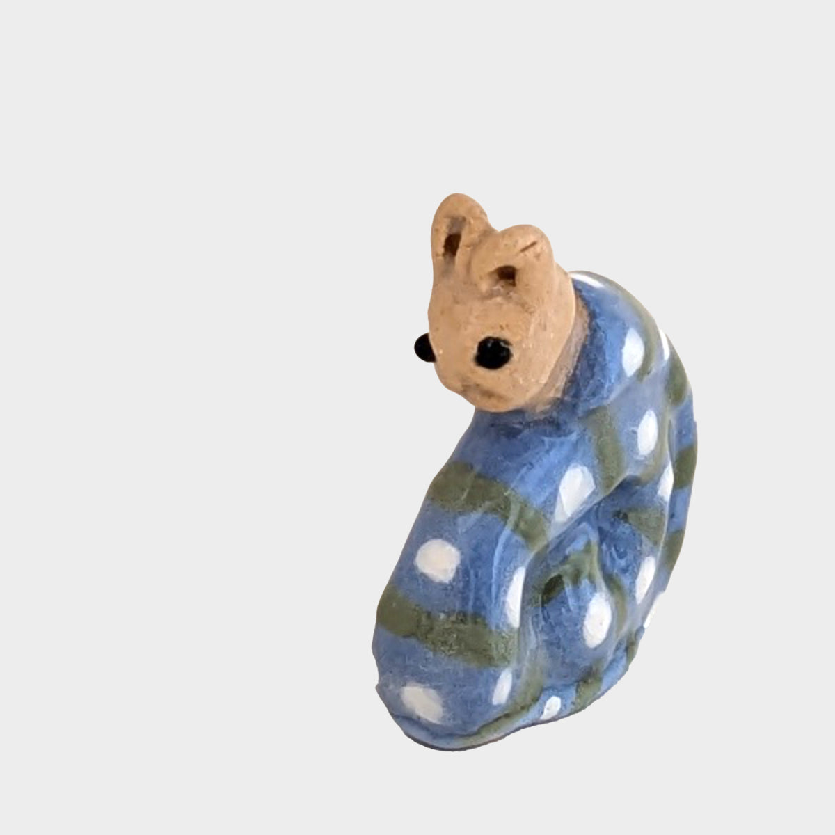 5. Cat-head Snail
