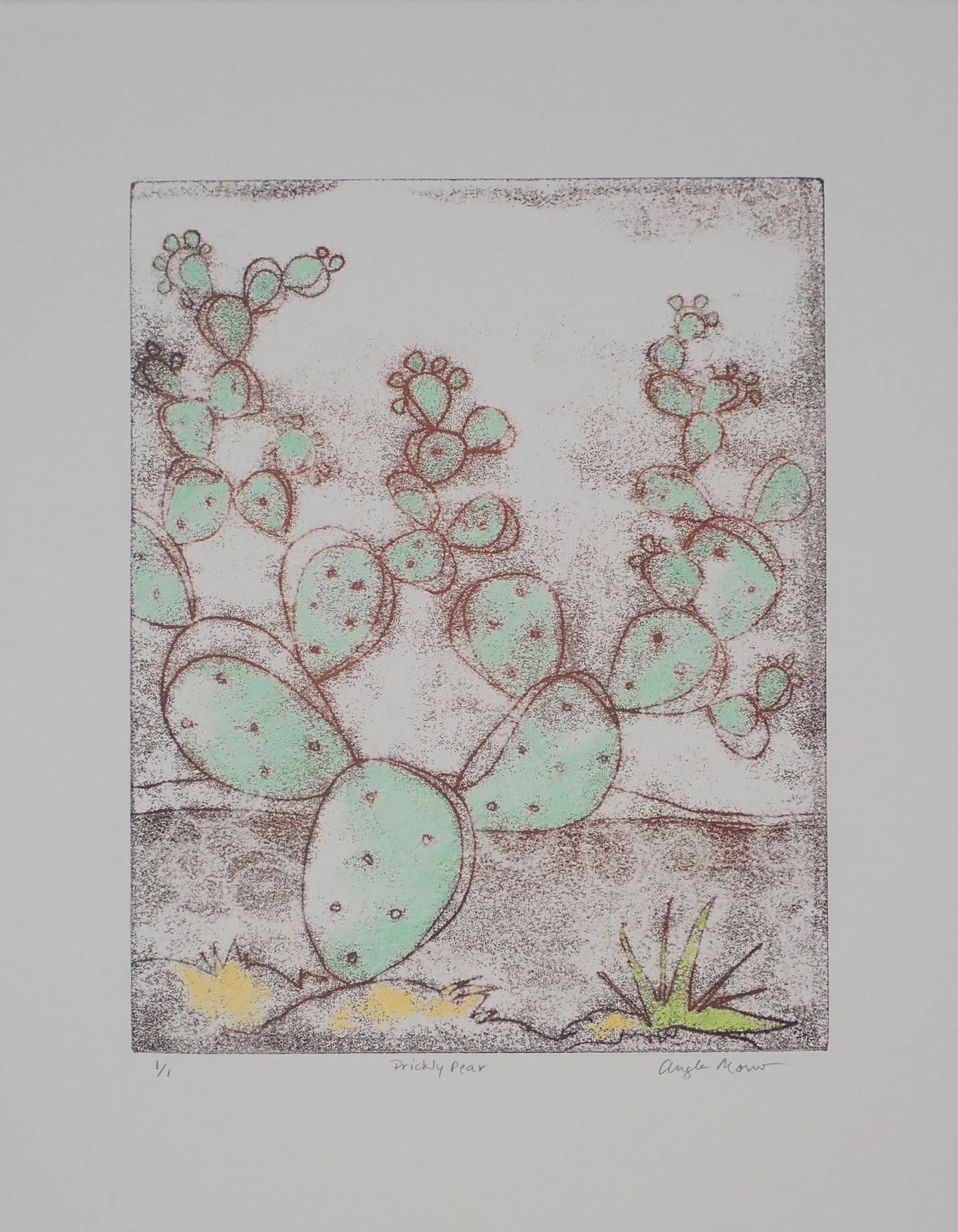 67. Prickly pear 1