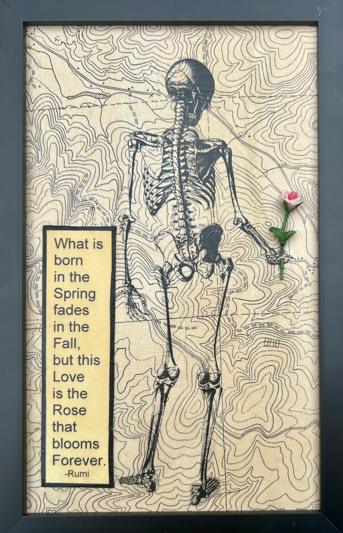 77. This Rose