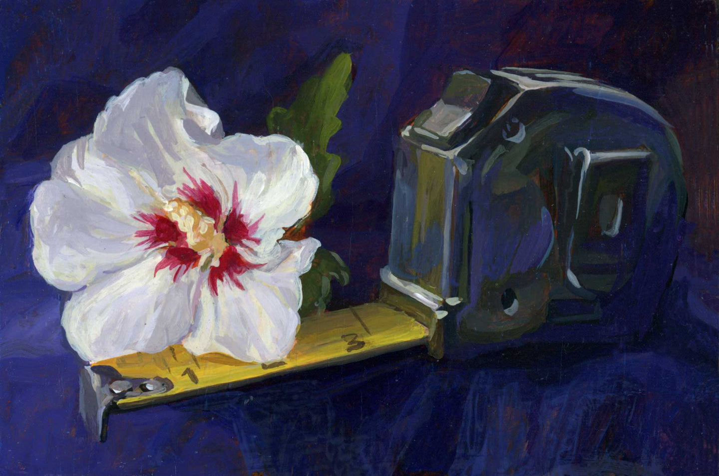 79. Hibiscus and Tape Measure